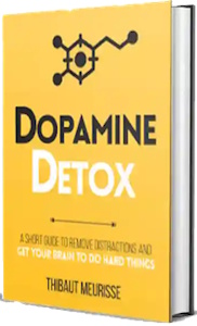 Dopamine Detox by Thibaut Meurisse