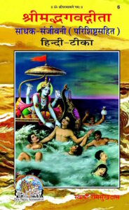 Shrimad Bhagavad Gita Sadhak Sanjeevani