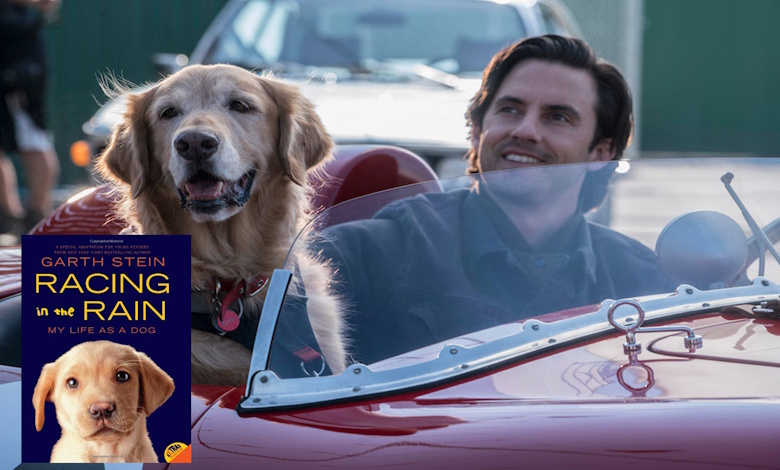 The Art of Racing in the Rain Book Review – Garth Stein’s Heartwarming Tale